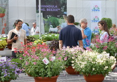 Op de stand van Hishtil was er veel bekijks.